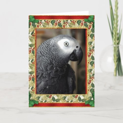 African Grey Parrot Christmas Card