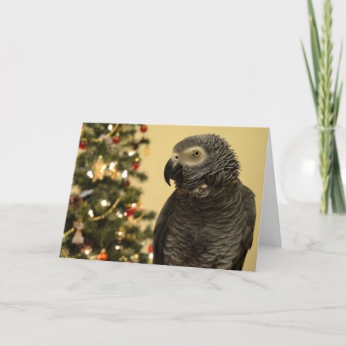 African Grey Parrot Christmas Card