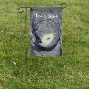 African Grey Parrot Cute Bird 2 Garden Flag