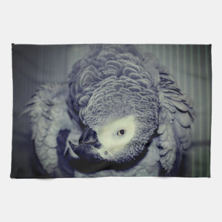 African Grey Parrot Cute Bird 2 Kitchen Towel