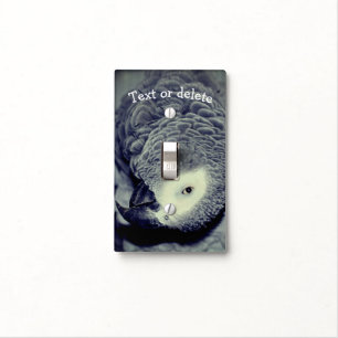 African Grey Parrot Cute Bird 2 Personalized  Light Switch Cover