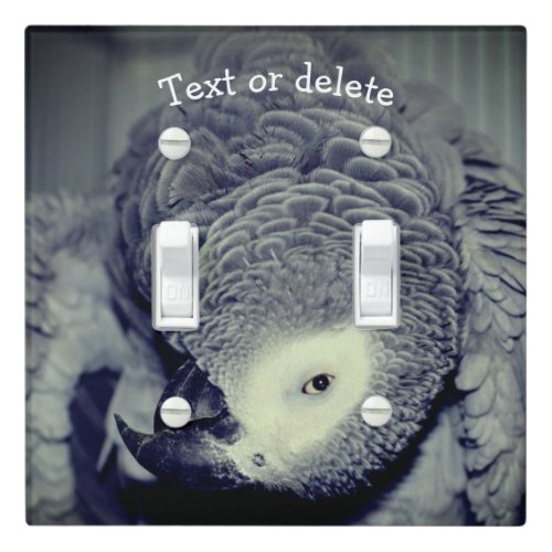 African Grey Parrot Cute Bird 2 Personalized   Light Switch Cover