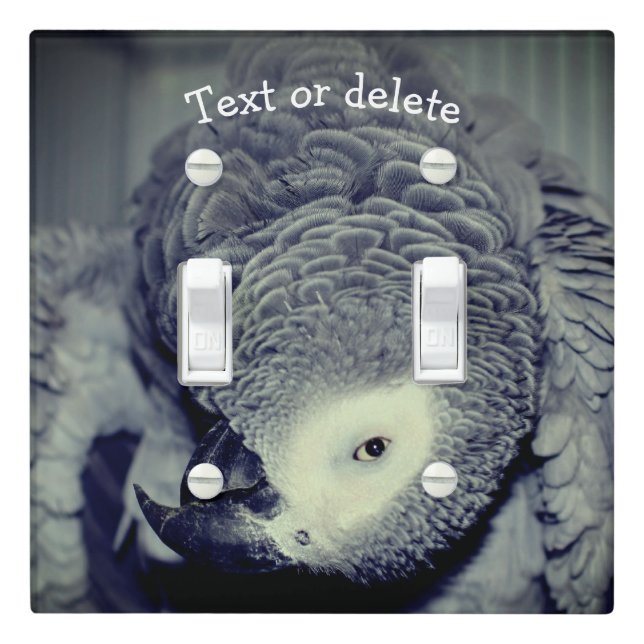 African Grey Parrot Cute Bird 2 Personalized   Light Switch Cover (In Situ)