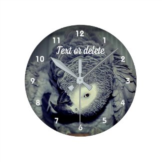African Grey Parrot Cute Bird 2 Personalized