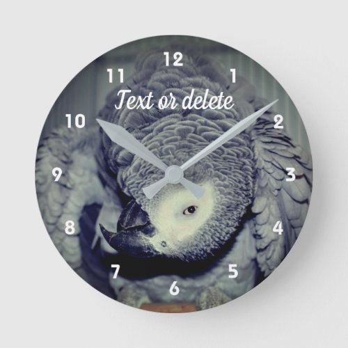 African Grey Parrot Cute Bird 2 Personalized Round Clock