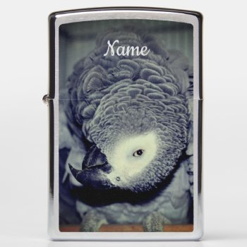 African Grey Parrot Cute Bird 2 Personalized Zippo Lighter by SmilinEyesTreasures at Zazzle