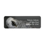 African Grey Parrot Cute Bird Address Label