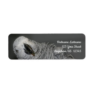 African Grey Parrot Cute Bird Address Label