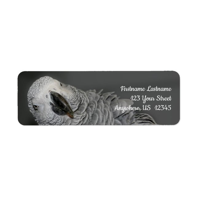 African Grey Parrot Cute Bird Address Label (Front)