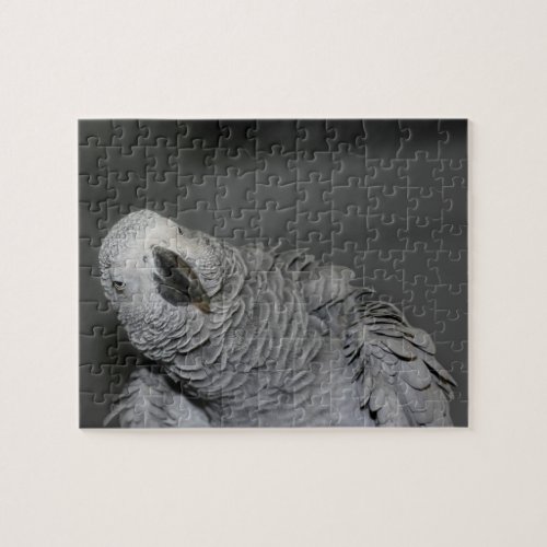 African Grey Parrot Cute Bird  Jigsaw Puzzle