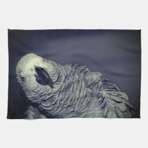 African Grey Parrot Cute Bird   Kitchen Towel