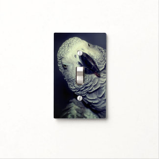 African Grey Parrot Cute Bird Light Switch Cover