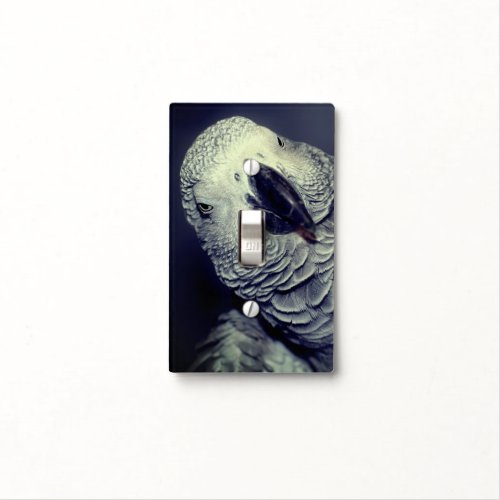 African Grey Parrot Cute Bird    Light Switch Cover