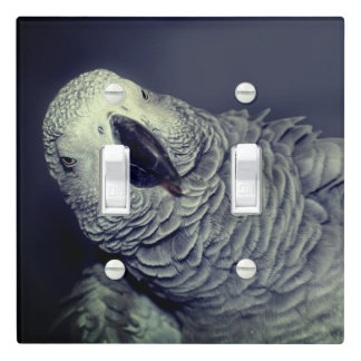 African Grey Parrot Cute Bird Light Switch Cover
