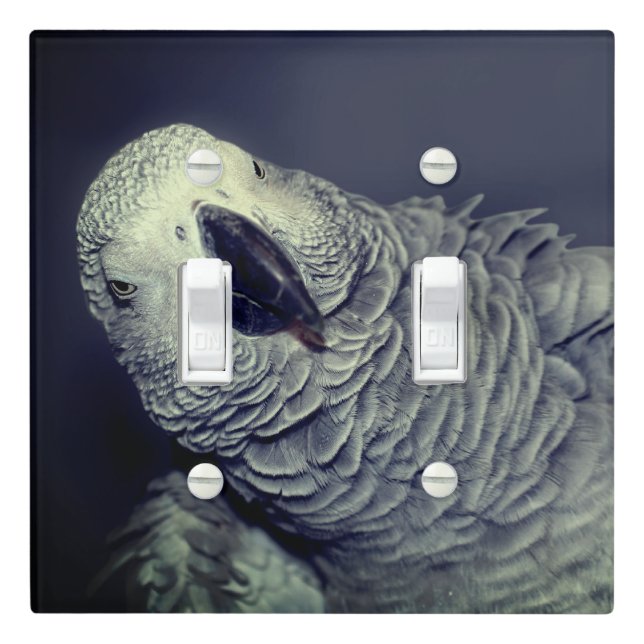 African Grey Parrot Cute Bird     Light Switch Cover (In Situ)
