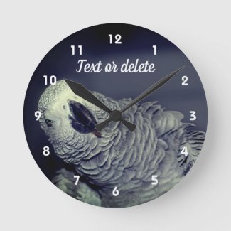 African Grey Parrot Cute Bird Personalized