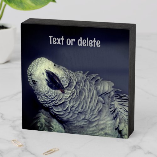 African Grey Parrot Cute Personalized Wooden Box Sign