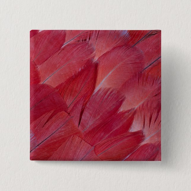 African Grey Parrot Feather Design Pinback Button (Front)