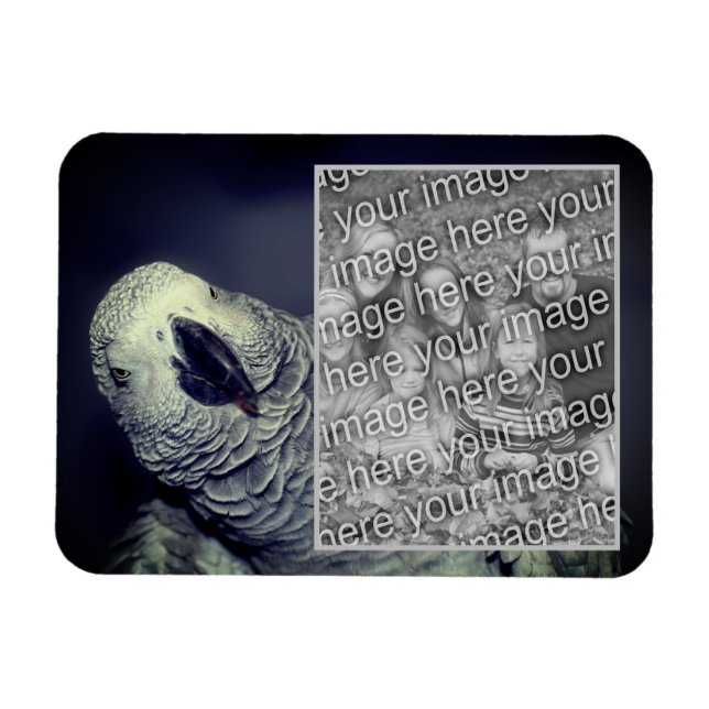 African Grey Parrot Frame Add Your Photo Magnet (Horizontal)