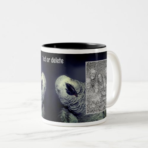 African Grey Parrot Frame Add Your Photo Two_Tone Coffee Mug