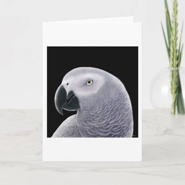 African Grey Parrot Greeting Card (Front)