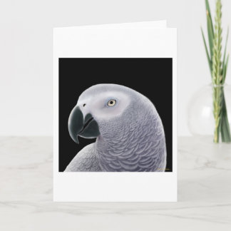 African Grey Parrot Greeting Card
