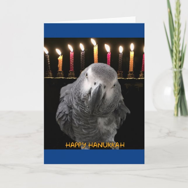 African Grey Parrot Hanukkah Cards (Front)
