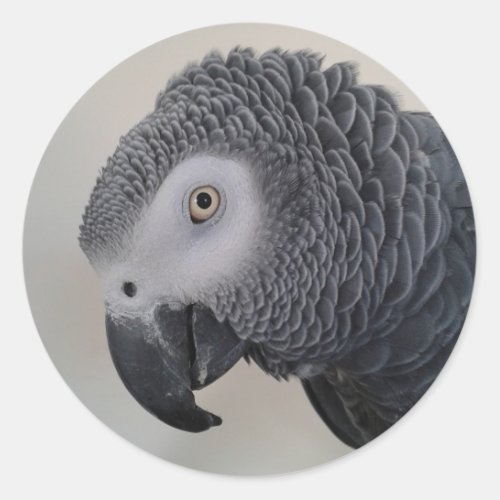 African Grey Parrot Head Stickers