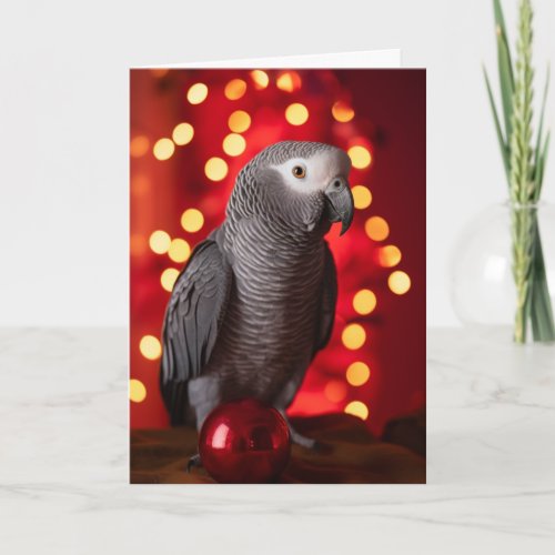 African Grey Parrot Holiday Cards 