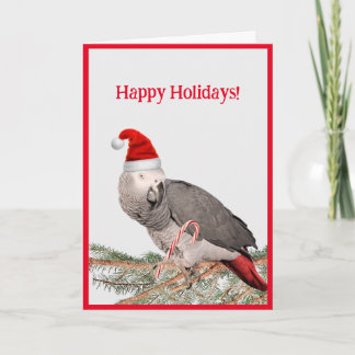 African Grey Parrot Holiday Greeting Card