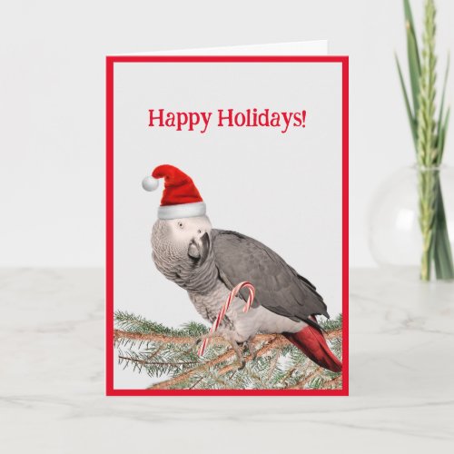 African Grey Parrot Holiday Greeting Card