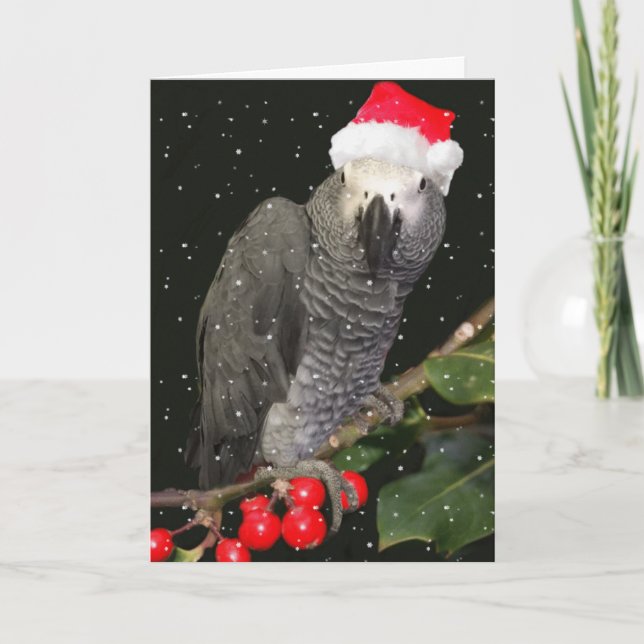 African Grey Parrot Holiday Season (Front)