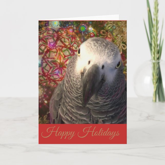 African Grey Parrot Holiday Season (Front)