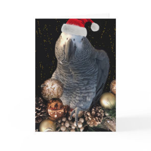 African Grey Parrot Holiday Season Card