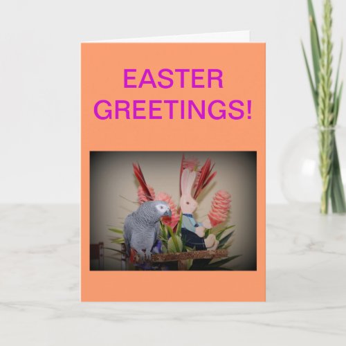 African Grey Parrot meets Easter Bunny Holiday Card