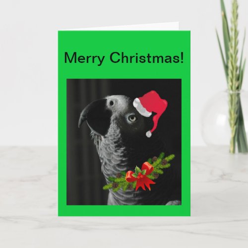 African Grey Parrot Merry Christmas Card