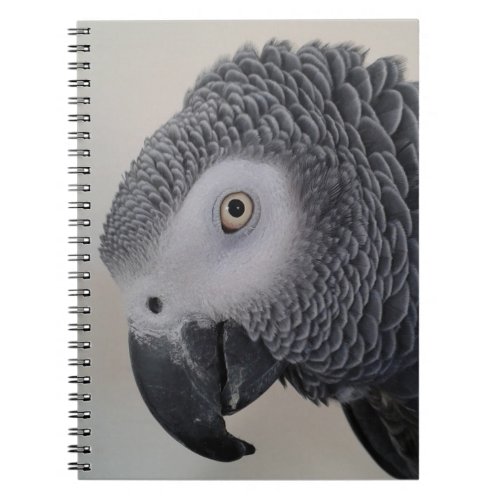 African Grey Parrot Notebook  Journal