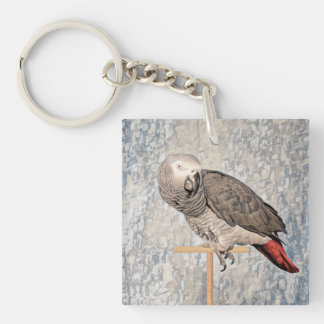 African Grey Parrot on a key chain