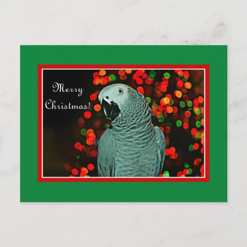 African Grey Parrot Painting with Christmas Tree Holiday Postcard