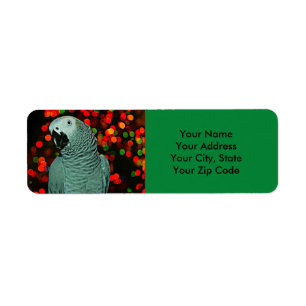 African Grey Parrot Painting with Christmas Tree Label