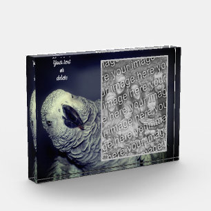 African Grey Parrot Personalized Add Your Own Photo Block