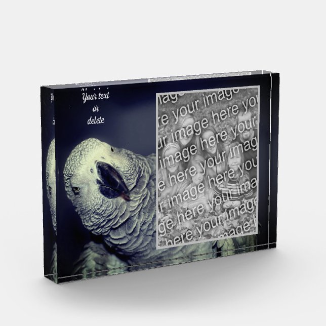 African Grey Parrot Personalized Add Your Own  Photo Block (Left)