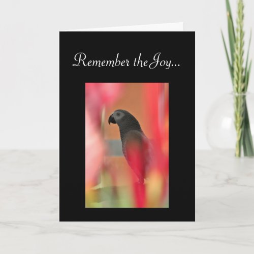 African Grey Parrot Pet Sympathy Card