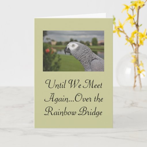 African Grey Parrot Pet Sympathy Card | Zazzle