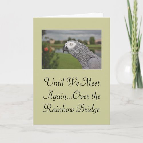 African Grey Parrot Pet Sympathy Card