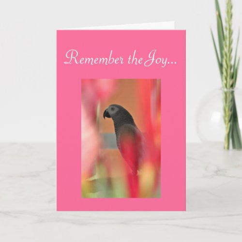 African Grey Parrot Pet Sympathy Card