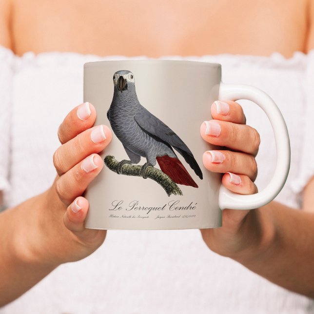 African grey parrot, Psittacus erithacus, vintage Coffee Mug (Le Perroquet Cendre - 19th century illustration. Coffee Mug)