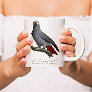 African grey parrot, Psittacus erithacus, vintage Color Morph Mug