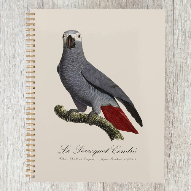 African grey parrot, Psittacus erithacus, vintage Planner (Le Perroquet Cendre - 19th century illustration. Planner)