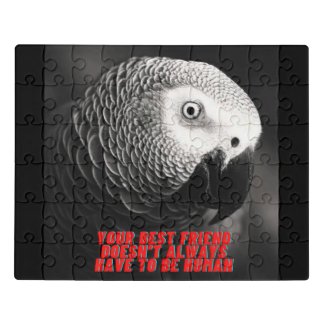 African Grey Parrot Puzzle